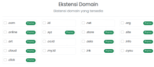 Jenis ekstensi domain