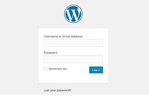 Cara Login ke Website Sendiri