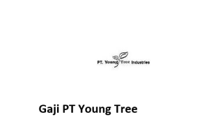 Gaji PT Young Tree
